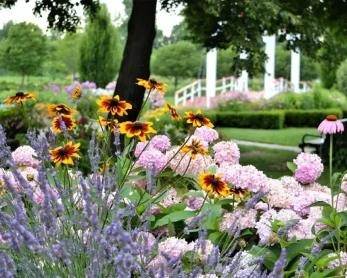 Flower_Garden