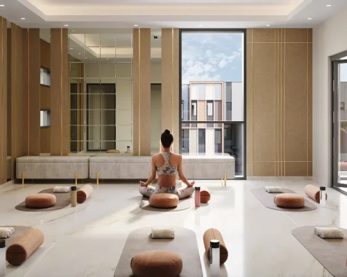 Yoha & Meditation Area