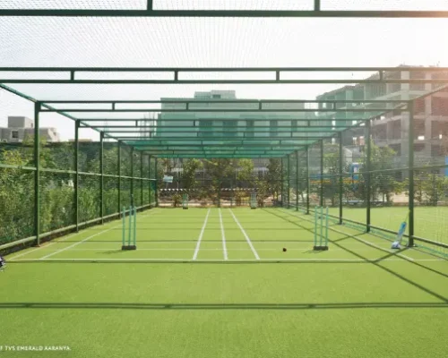 cricket-play-area (1)